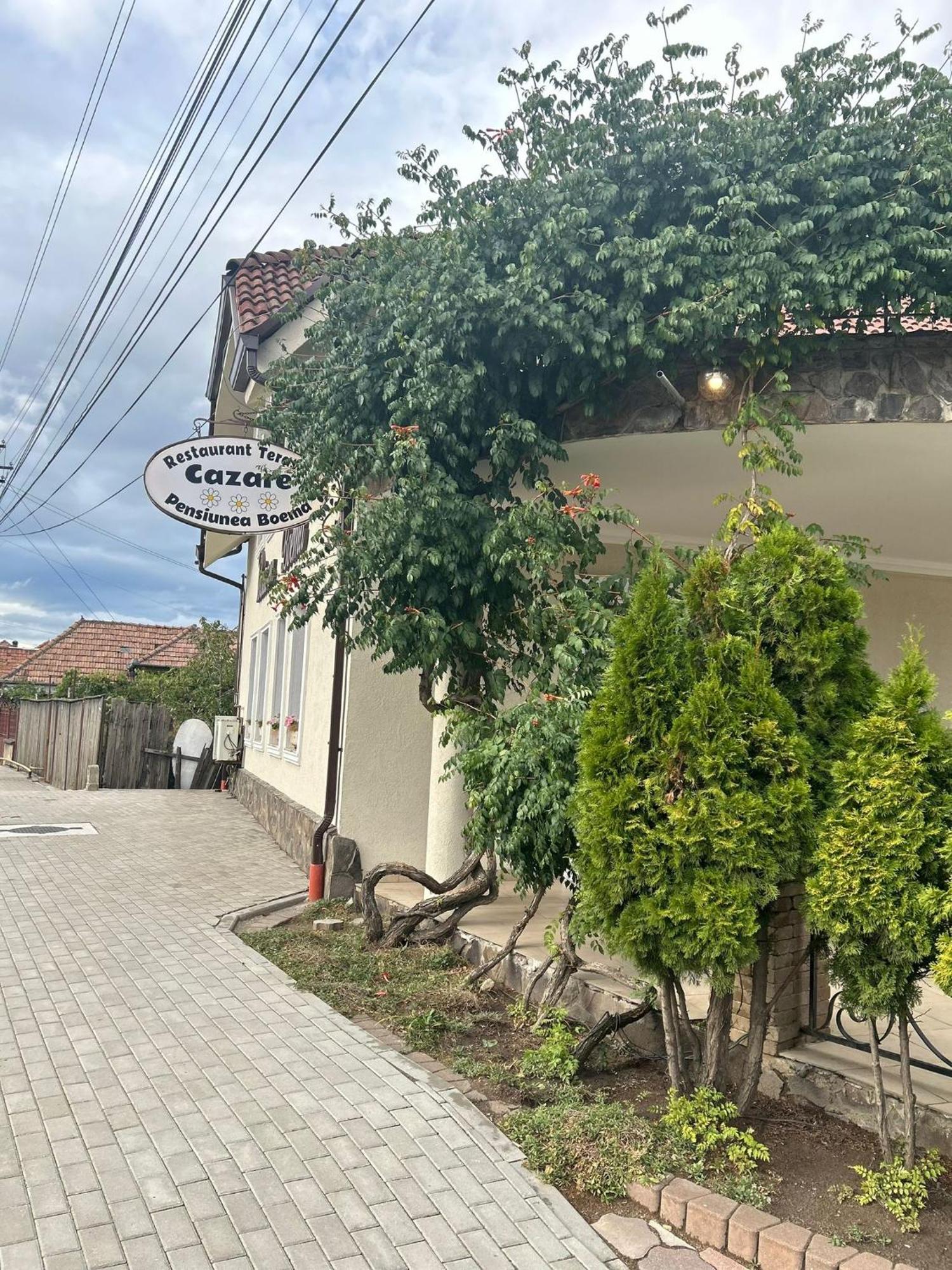 Pensiunea Boema Lancrăm Exterior foto