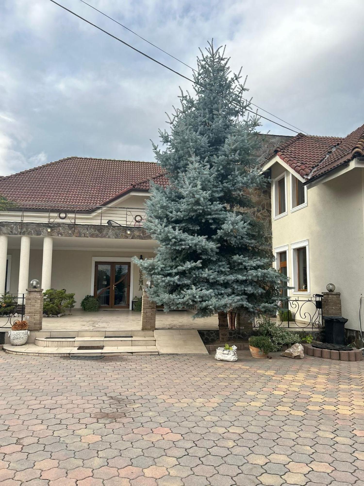 Pensiunea Boema Lancrăm Exterior foto
