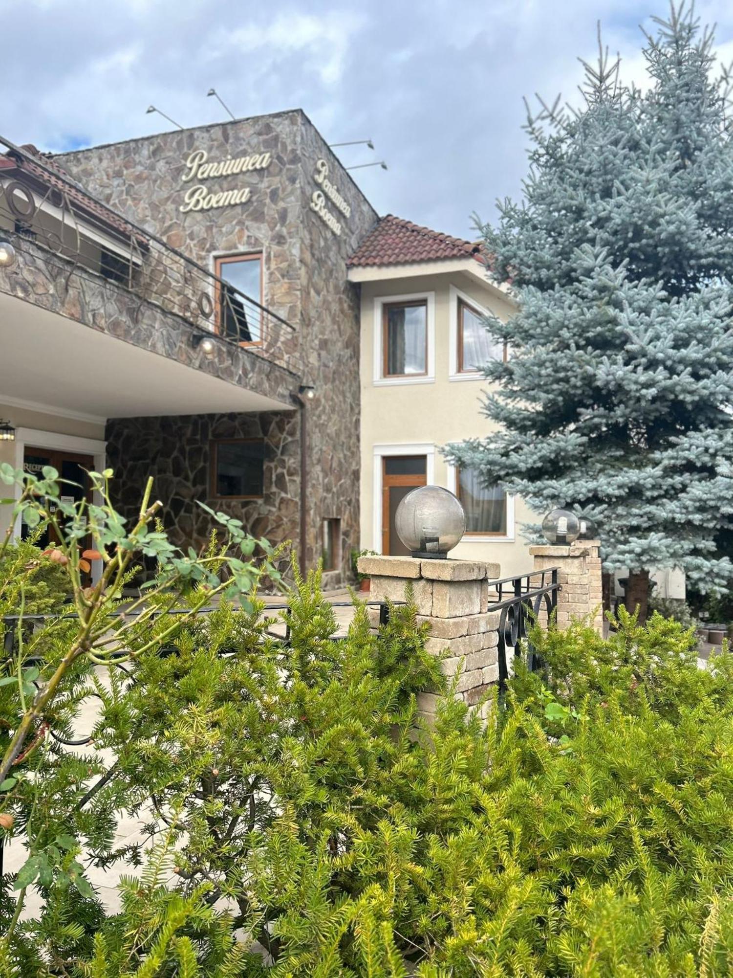 Pensiunea Boema Lancrăm Exterior foto